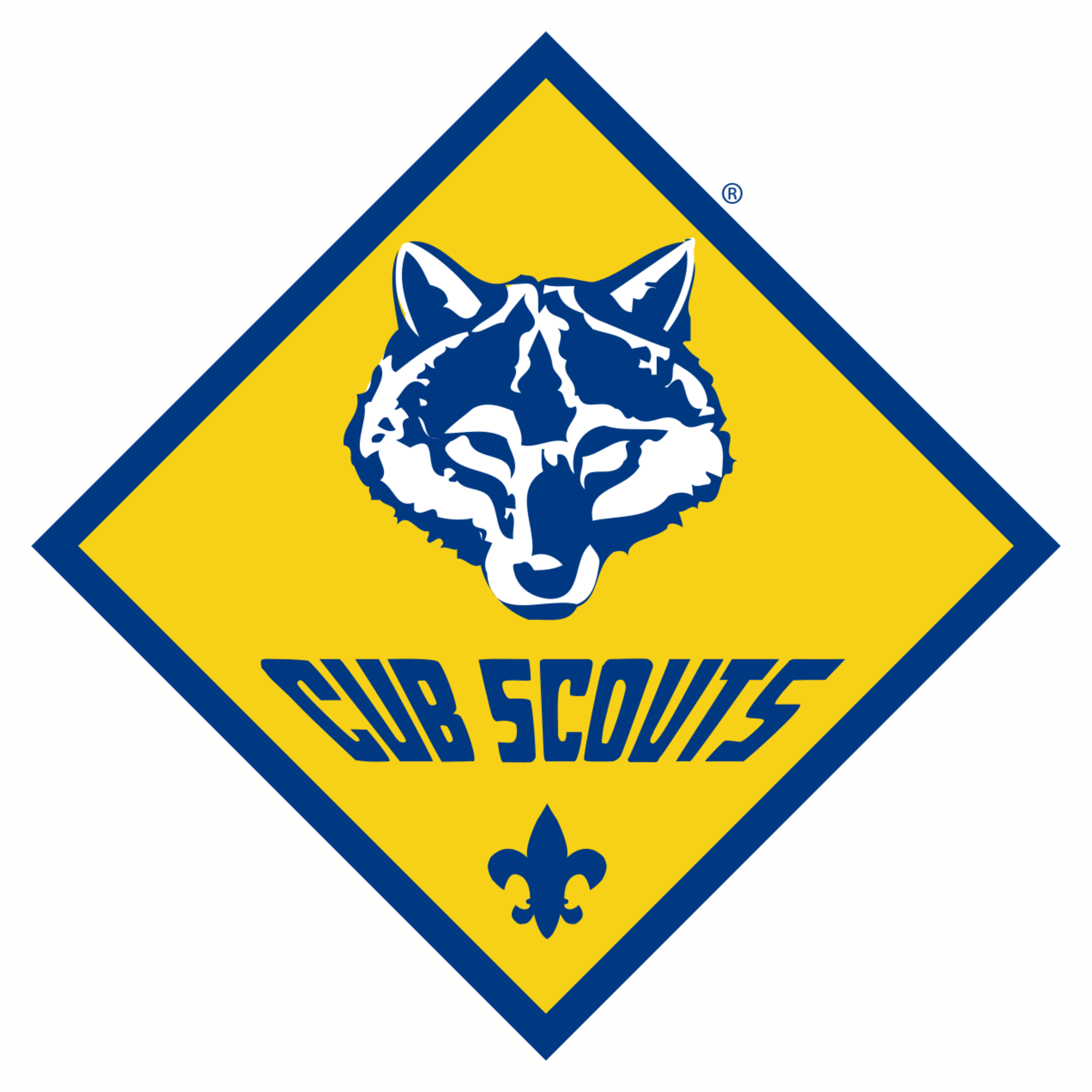 Bolton Cub Scouts